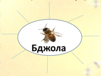 Конспект уроку + презентація «Опрацювання оповідання В. Дуб «Бджілка»»
